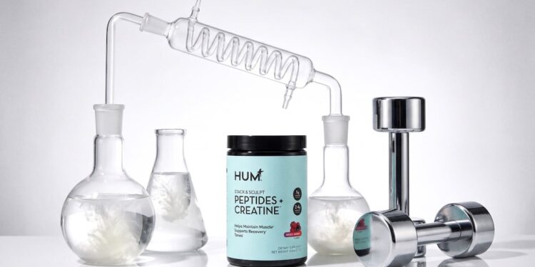Creatine's Secret Ally: Peptistrong | HUM Nutrition Blog